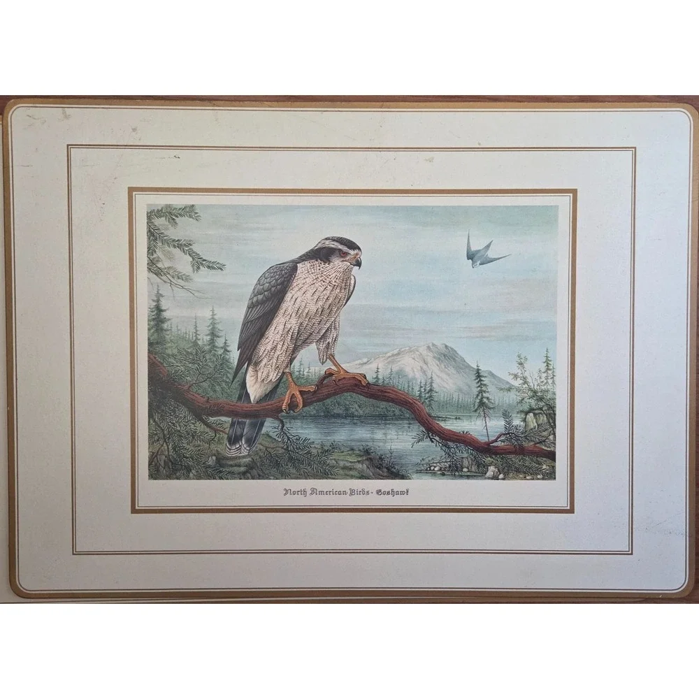 Vintage English Life Place Mats(4) Schmid Brothers-North American Birds of Prey